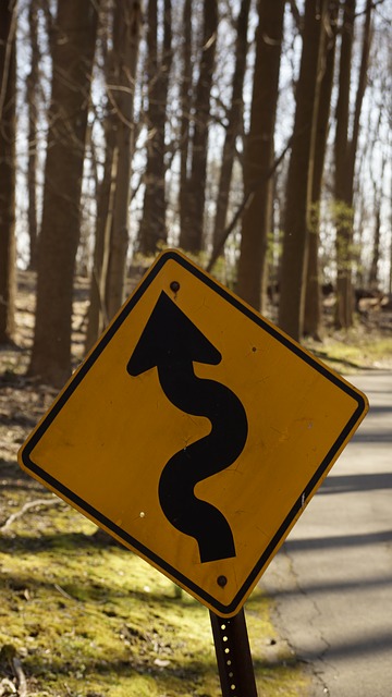 The ghosts on Elbow Road may be caused by the curves.
